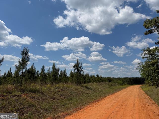 Land for sale in Cuthbert, Georgia