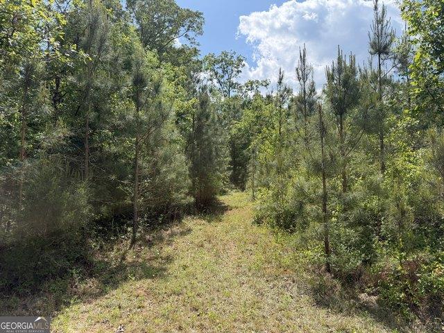 Land for sale in Cuthbert, Georgia