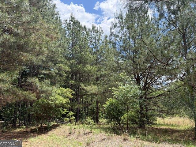 Land for sale in Wilkinson, Georgia