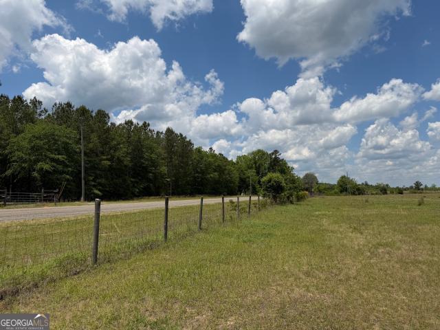 Land for sale in Wilkinson, Georgia