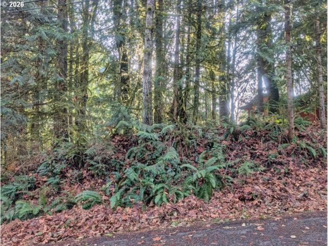 Land for sale in Oregonia