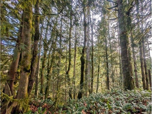 Land for sale in Welches, Clackamas County