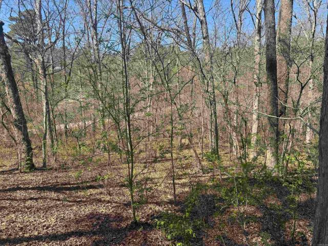 Land for sale in Ark
