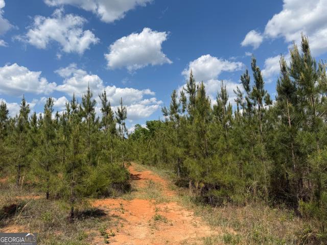 Land for sale in Cuthbert, Georgia