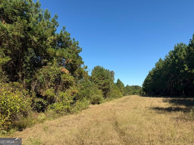 Land for sale in Cottonwood, Alabama