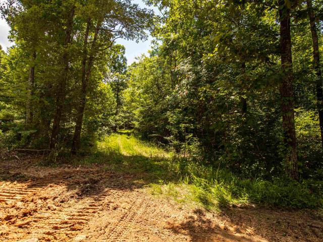 Land for sale in Tennessee
