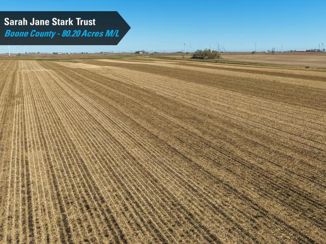 Land for sale in Ogden, Iowa