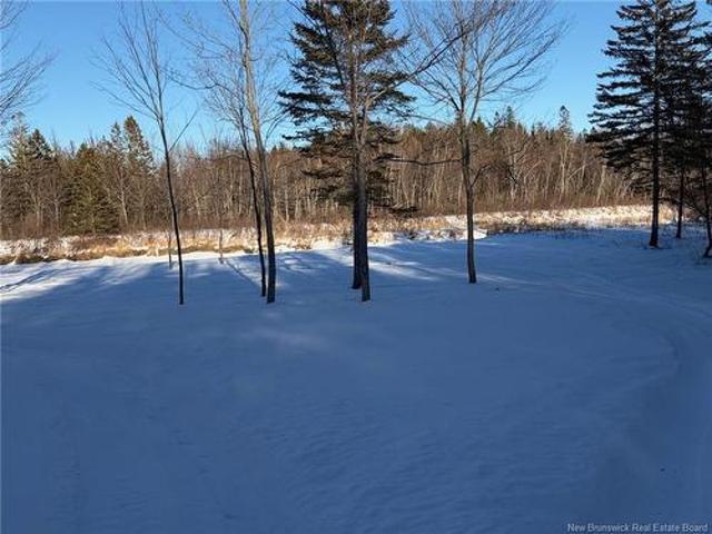 Land for sale in Charlotte, New Brunswick