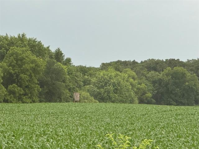 Land for sale in Grand River, Iowa