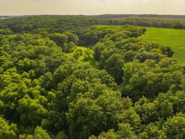 Land for sale in Bussey, Iowa