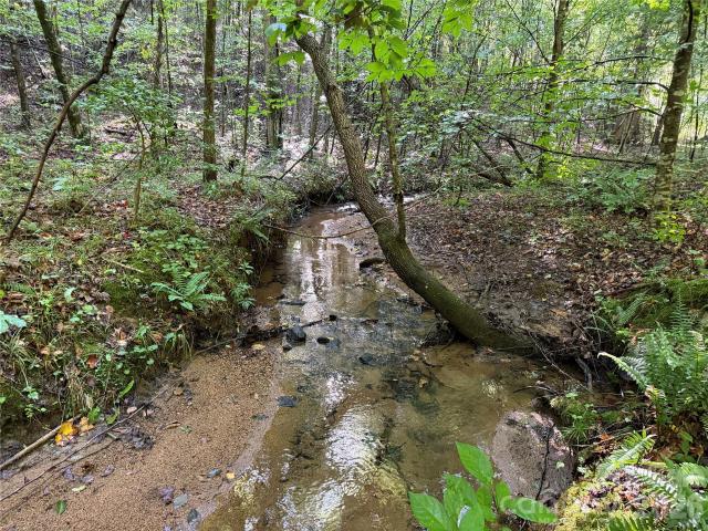 Land for sale in Dysartsville, McDowell County