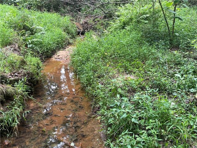 Land for sale in Starr, South Carolina