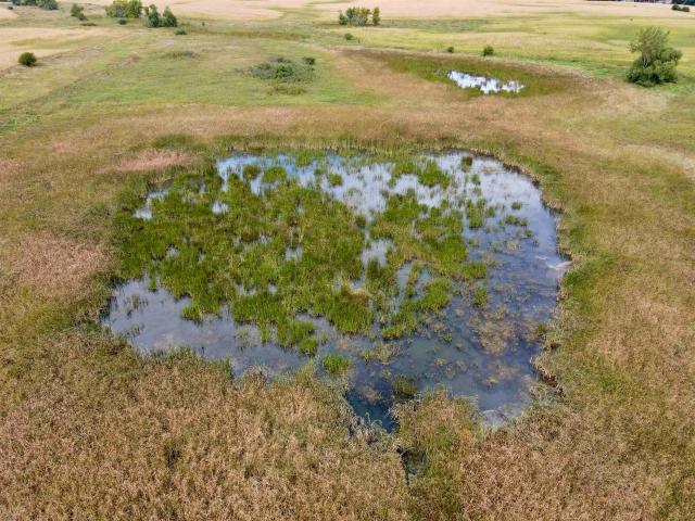 Land for sale in Ruthven, Iowa