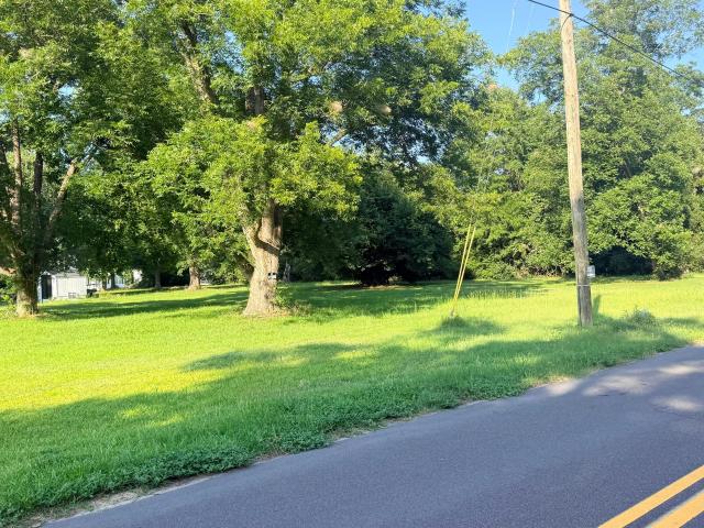 Land for sale in Olar, South Carolina