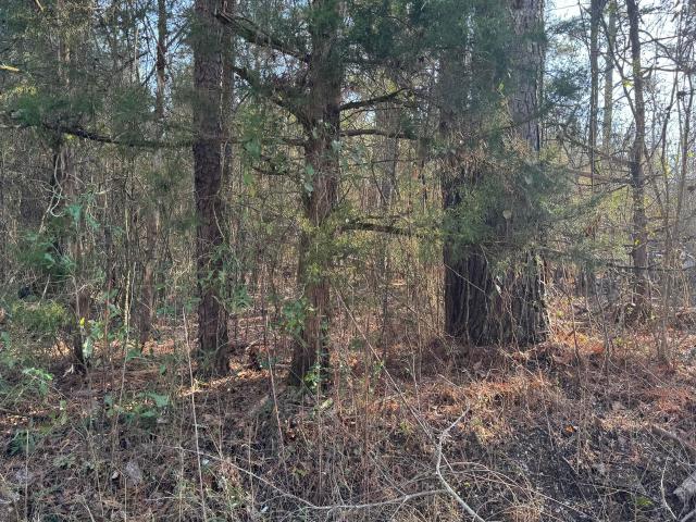 Land for sale in Lake, Mississippi