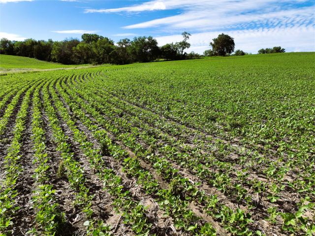 Land for sale in Iowa