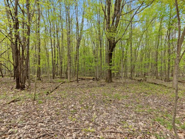 Land for sale in Michigan