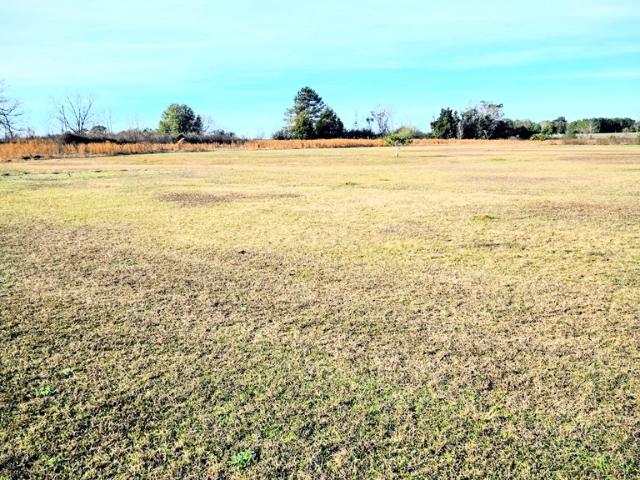 Land for sale in Dale, Alabama