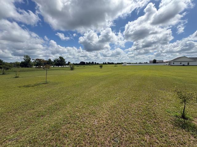 Land for sale in Dale, Alabama