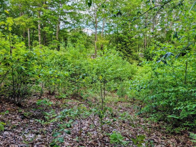 Land for sale in New Hampshire