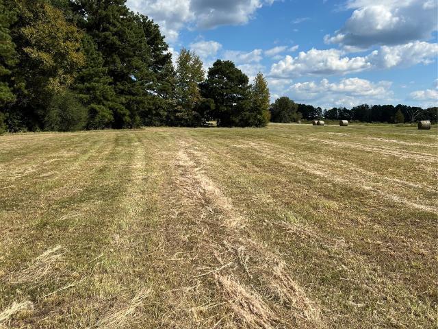 Land for sale in Harrison, Texas