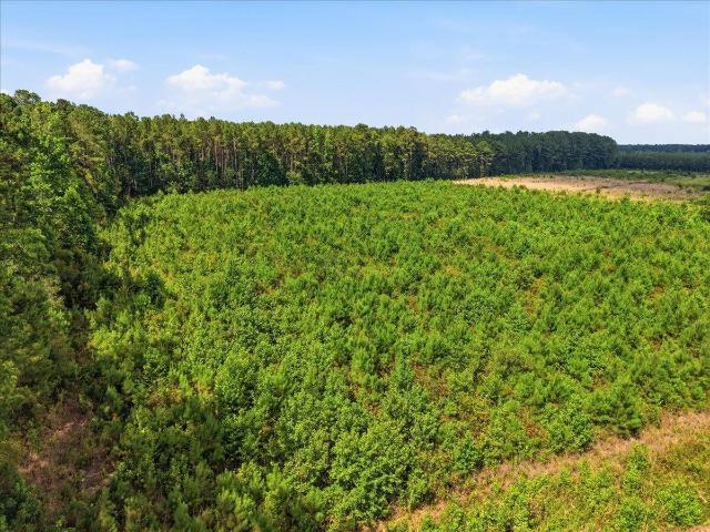Land for sale in Cottageville, South Carolina