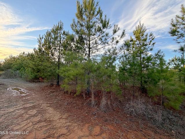 Land for sale in Carthage, Leake County