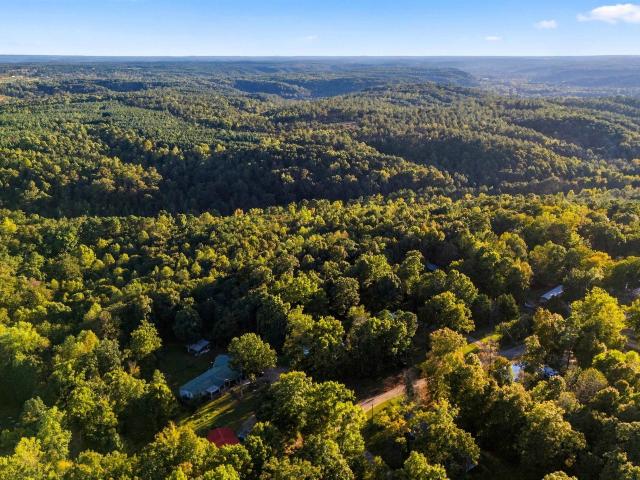 Land for sale in Dodge City, Cullman County