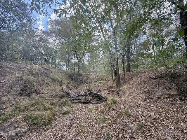 Land for sale in Flatonia, Fayette County