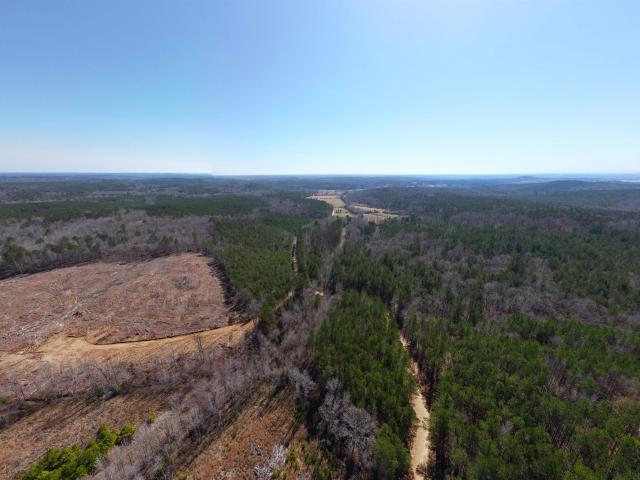 Land for sale in Detroit, Alabama