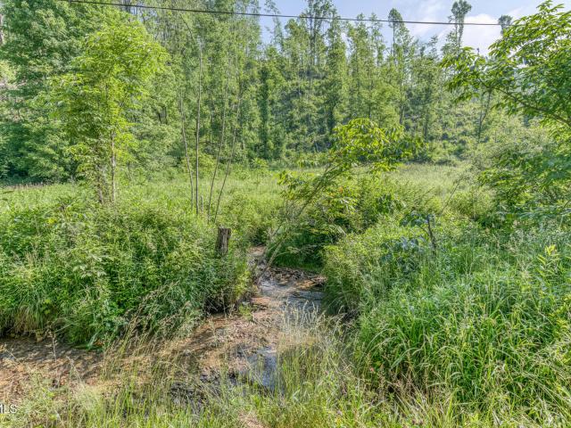 Land for sale in Midway, Mountain City