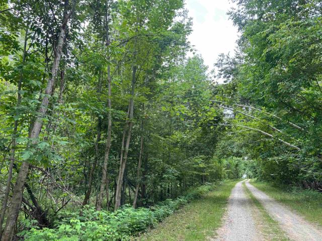Land for sale in Michigan