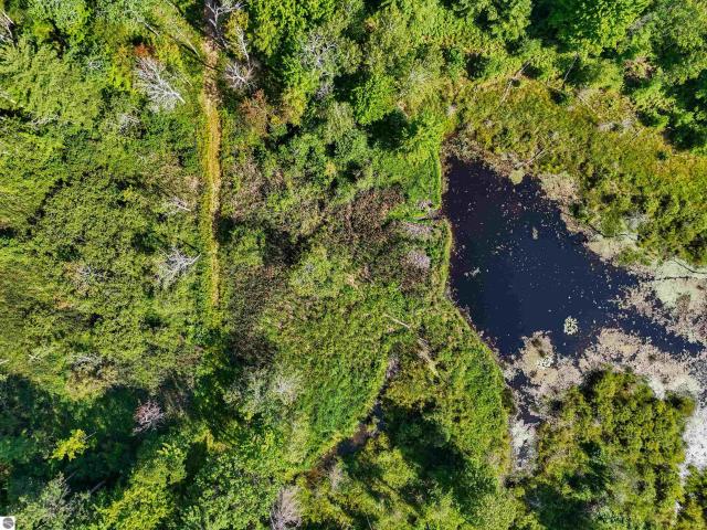 Land for sale in Michigan