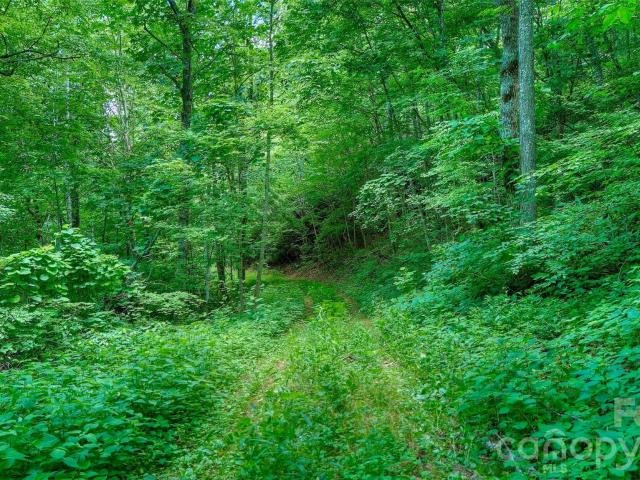 Land for sale in Spruce Pine, North Carolina