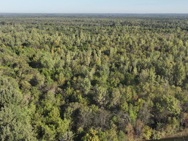 Land for sale in Starkville, Mississippi