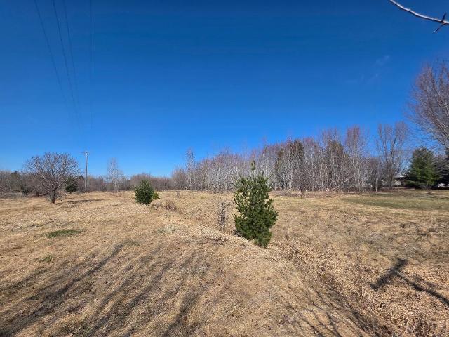Land for sale in Almena, Wisconsin