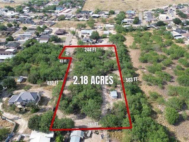 Land for sale in Roma, Texas