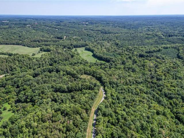Land for sale in Blanch, North Carolina