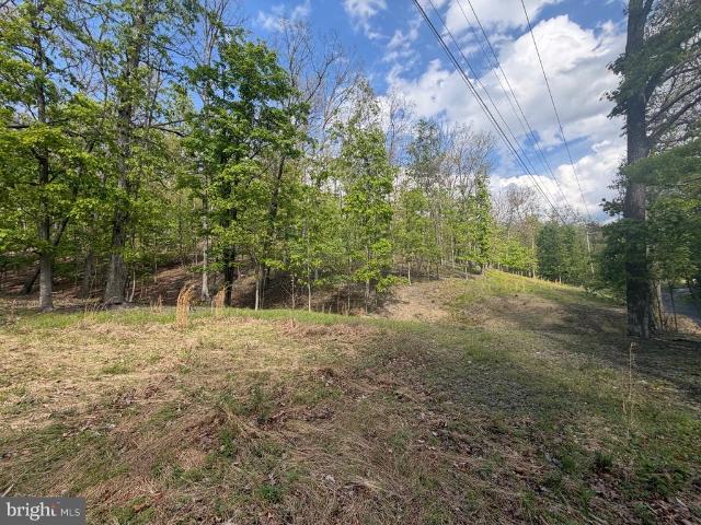 Land for sale in Fort Ashby, West Virginia