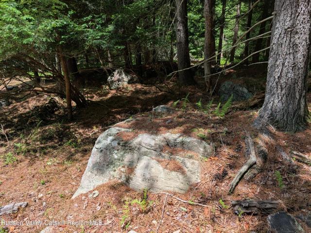 Land for sale in Bethel, New York