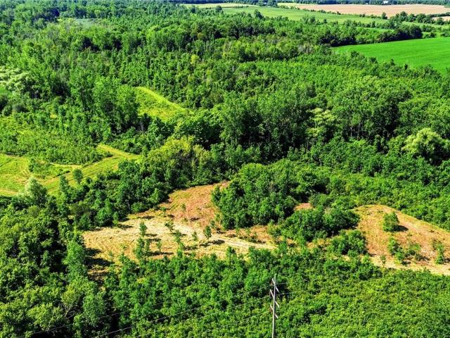 Land for sale in Village of Akron, Erie County