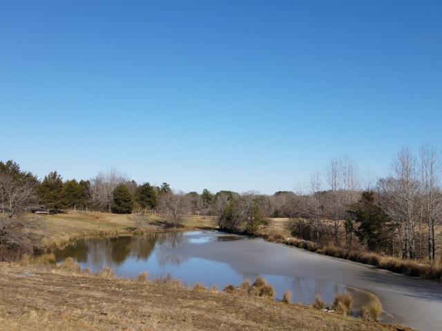 Land for sale in Tennessee