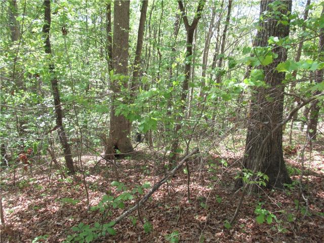 Land for sale in South Carolina