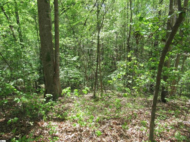 Land for sale in South Carolina