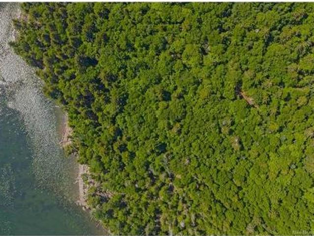Land for sale in Charlotte, New Brunswick