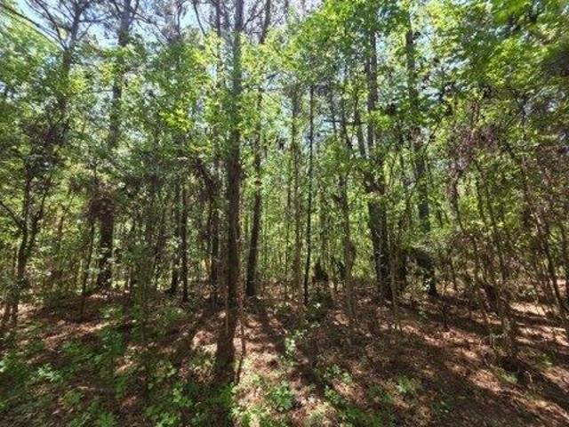 Land for sale in South Carolina