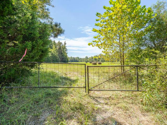 Land for sale in Leapwood, Adamsville