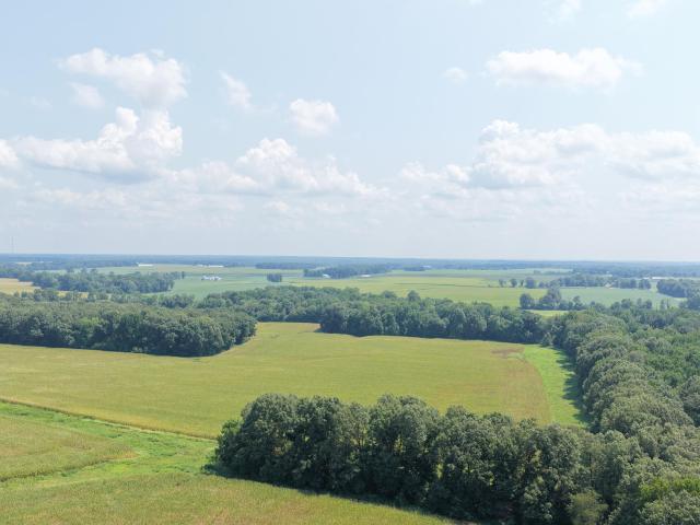 Farm for sale in Graves County, Kentucky