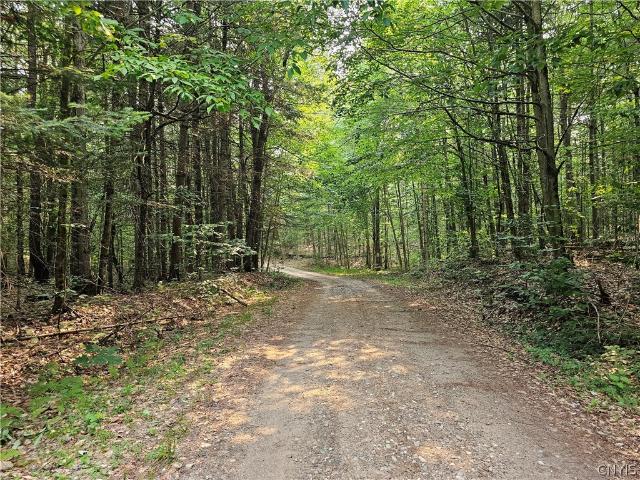 Land for sale in Town of Remsen, Town of Forestport