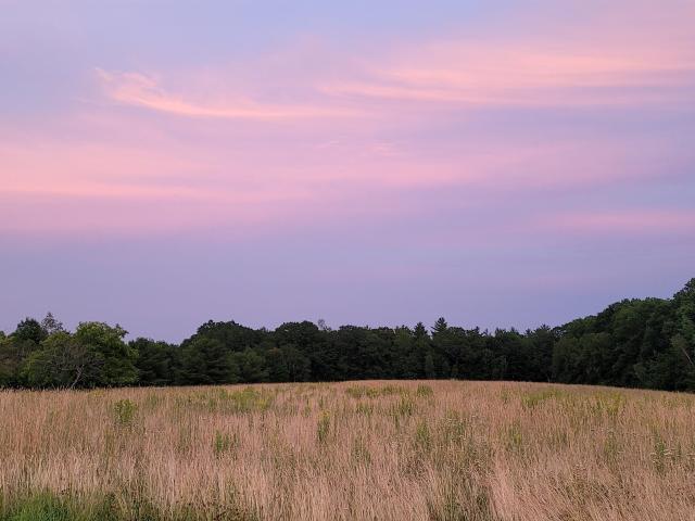 Land for sale in New Hampshire